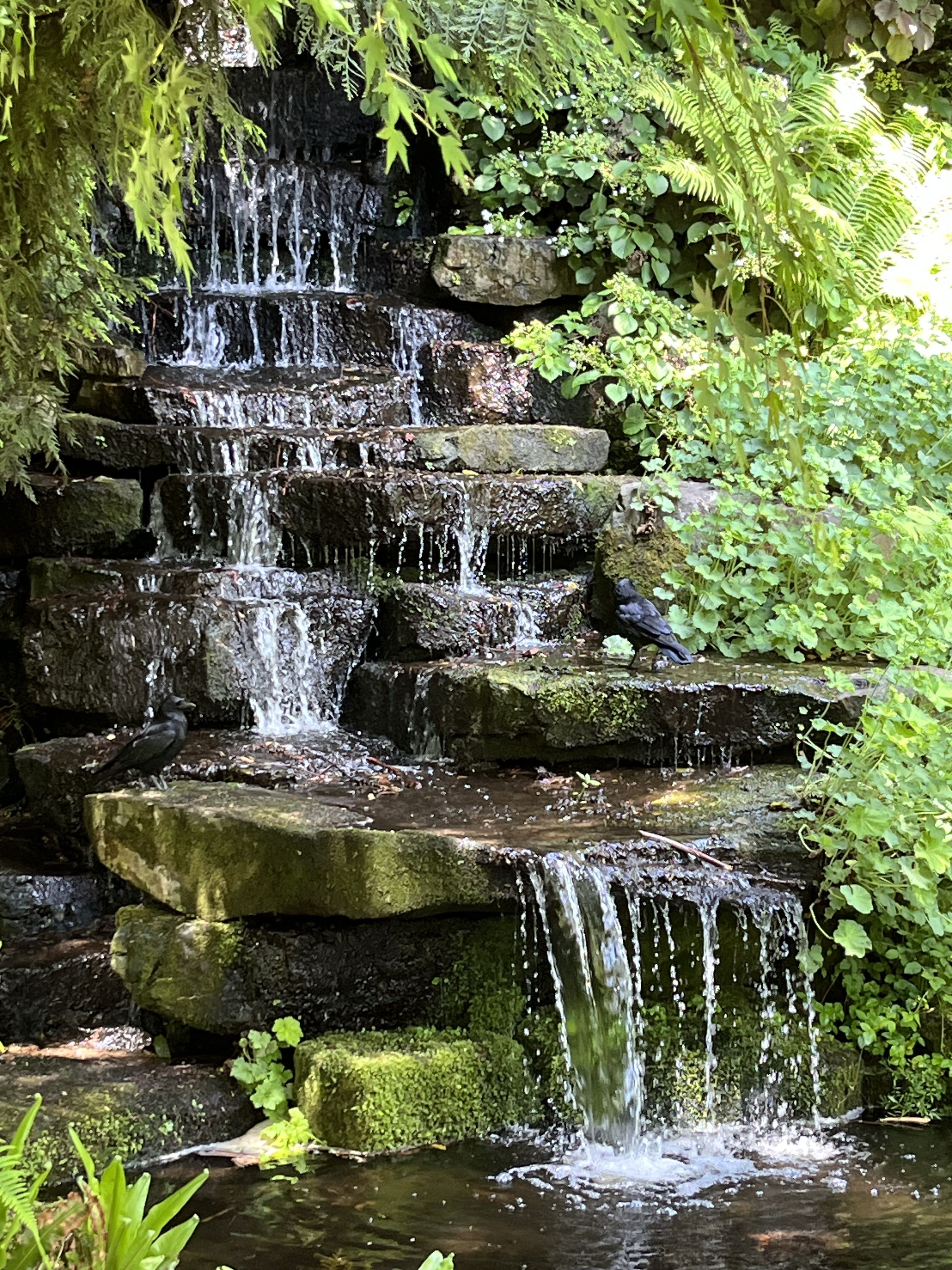 kleiner Wasserfall &uuml;ber Steinterassen