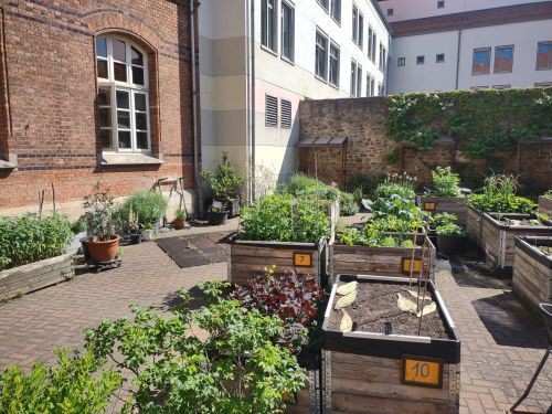 Blick &uuml;ber mit Gem&uuml;sen und Kr&auml;utern best&uuml;ckte Hochbeete und K&uuml;bel im Hofgarten, im Hintergrund Mauern und Geb&auml;ude