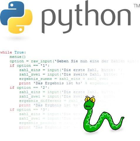 Python-Logo, ein Code-Snippet mit Benutzeraktionen (z. B. Addition), und eine gr&uuml;ne Schlange als Symbol f&uuml;r Python
