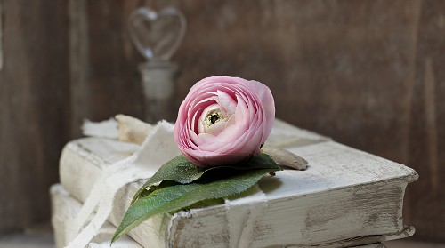 Blume auf Buch
