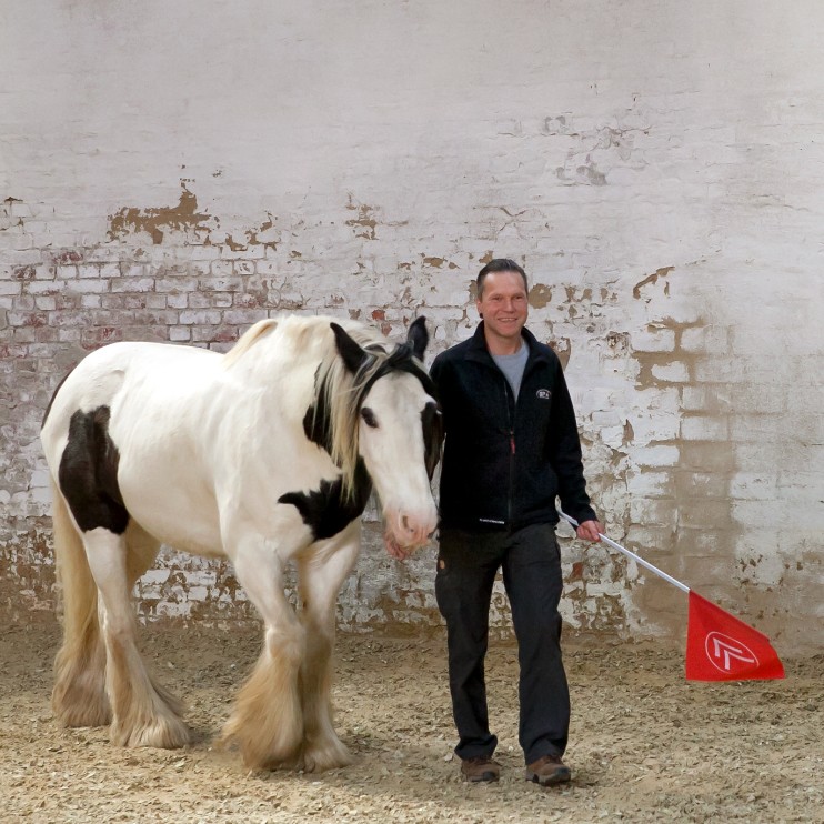 Pferd mit Mann in der Halle
