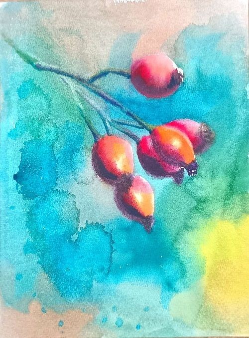 Aquarellbild Hagebutten auf einem zweifarbigen, bl&auml;ulich-gr&uuml;nen Hintergrund.
