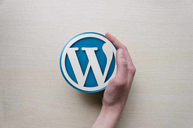 eine Hand, die das WordPress-Logo in Form eines kleinen, runden Objekts h&auml;lt. Das Logo ist in den typischen Farben Blau und Wei&szlig; gehalten. Der Hintergrund ist ein helles, leicht strukturiertes Holz.
