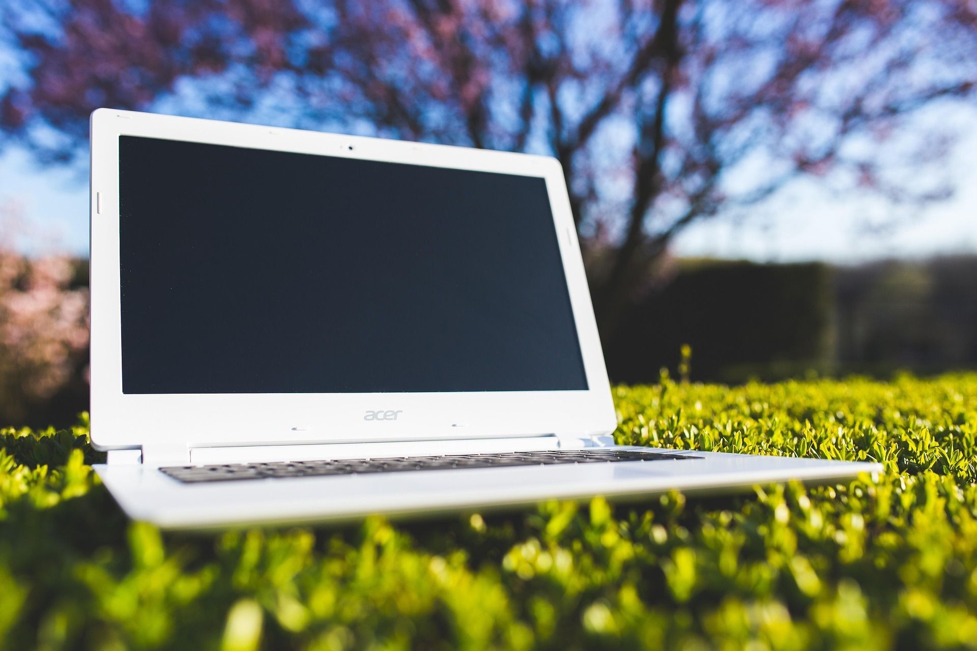 Laptop auf einer Wiese