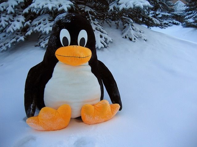 Der Linux Pinguin sitzt als Maskotchen im Schnee