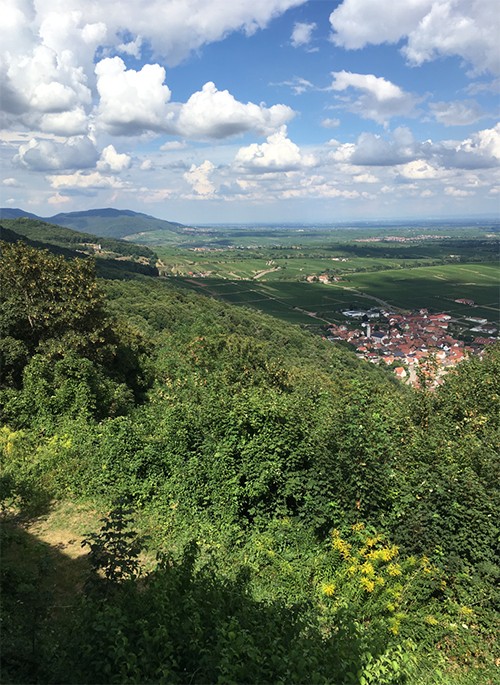 Landschaftsfoto Pfalz
